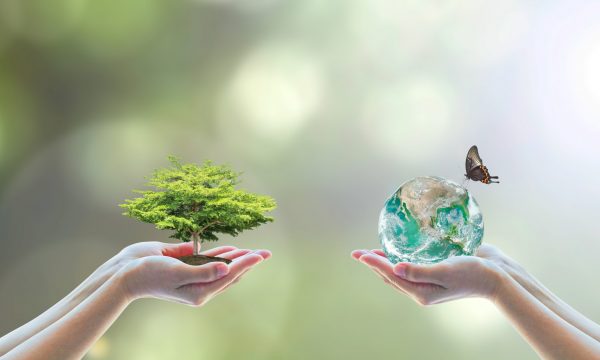 World,Biodiversity,For,Sustainable,Ecological,Environment,,And,Harmony,Living,With