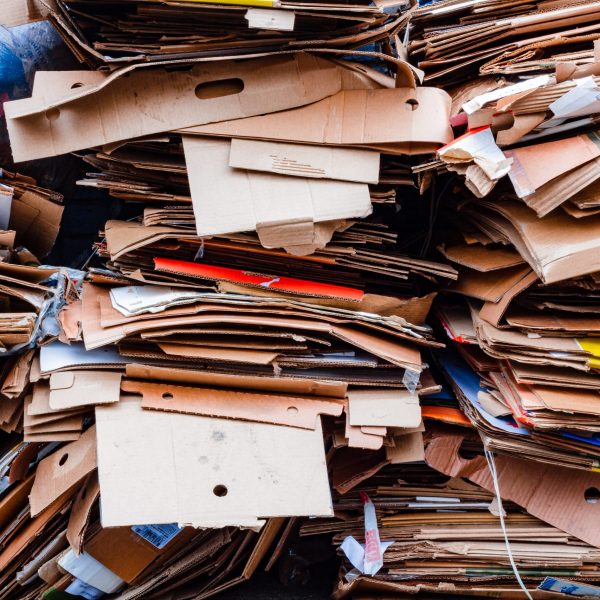 shutterstock_1663266247 shutterstock_1663266247