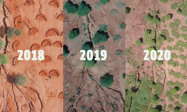 Bunds-_-before-after-2