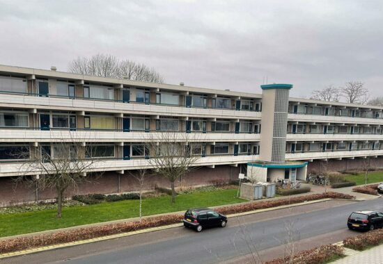 Sanderflats - Baston